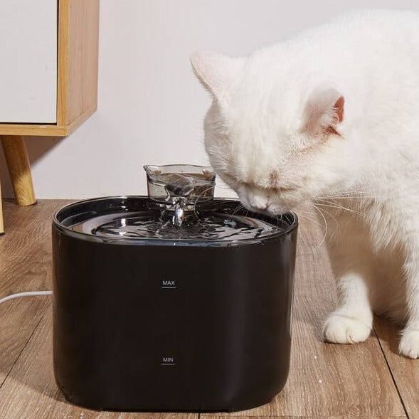 Abreuvoir pour chat avec filtre Waterflow™