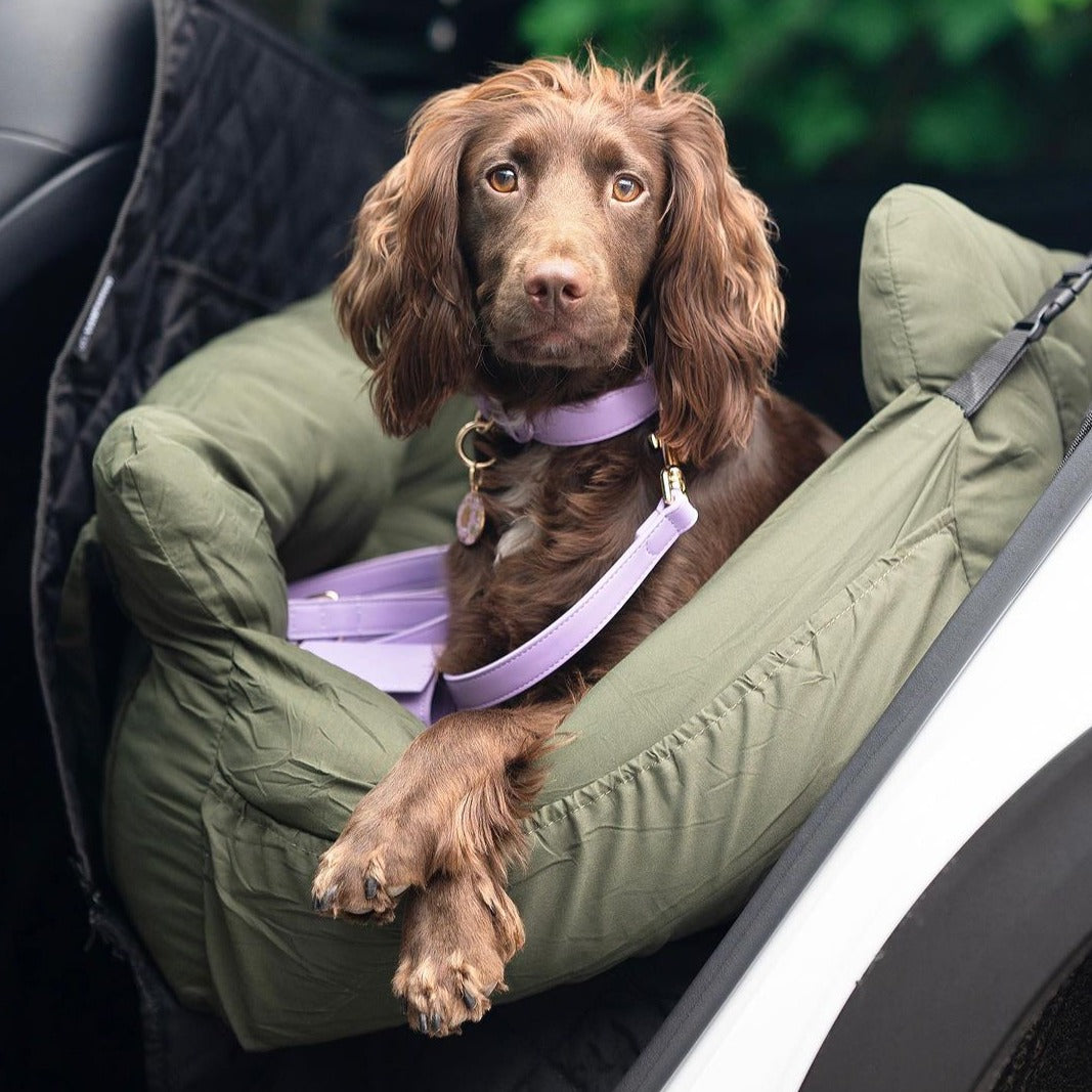 Siège auto pour chien