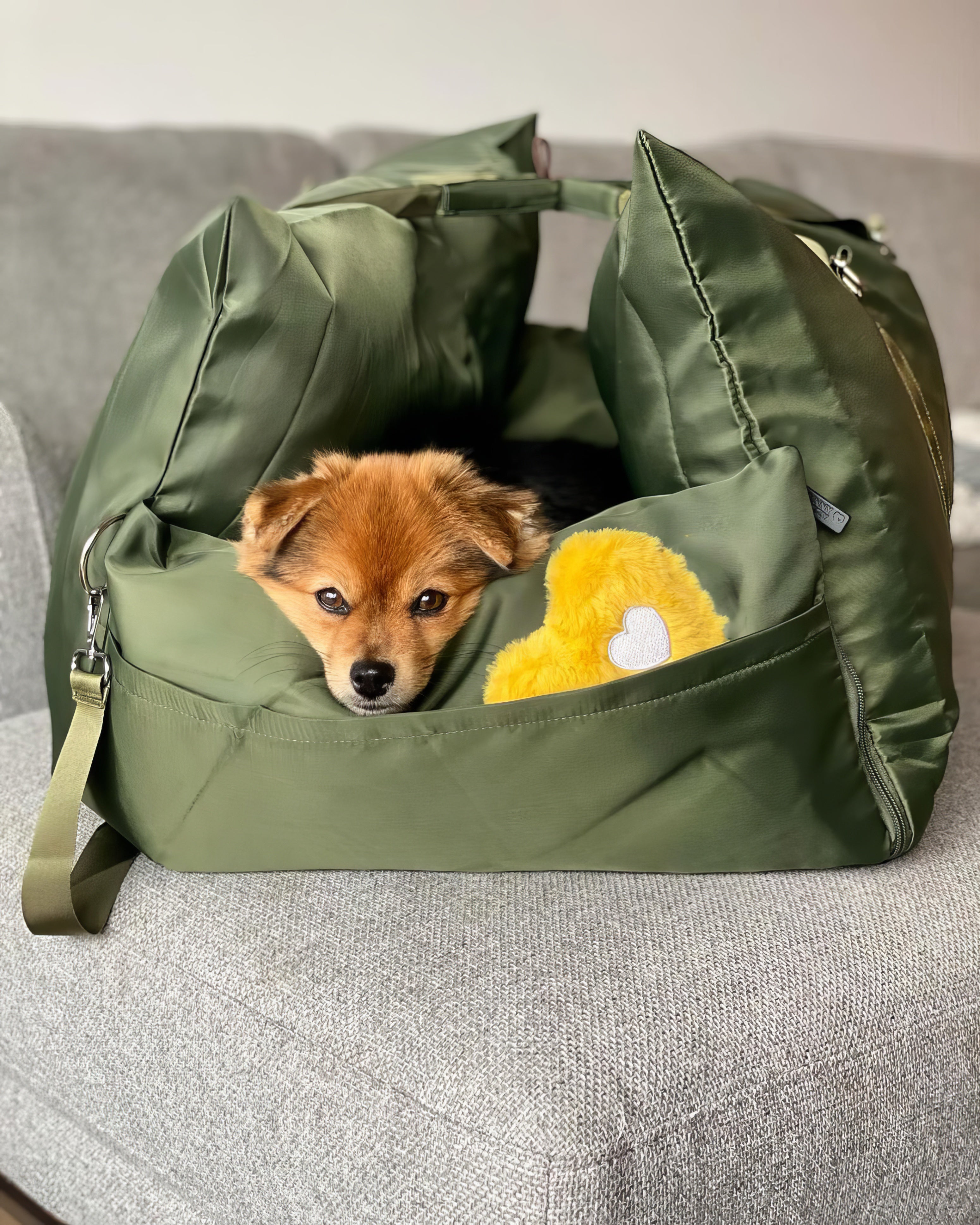 Siège de voiture pour chien étanche