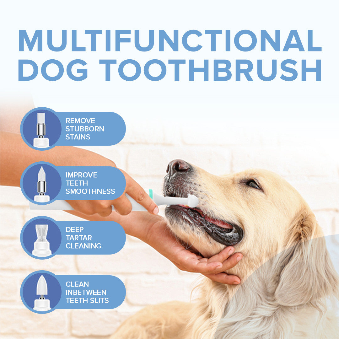 Brosse à dents pour chiens