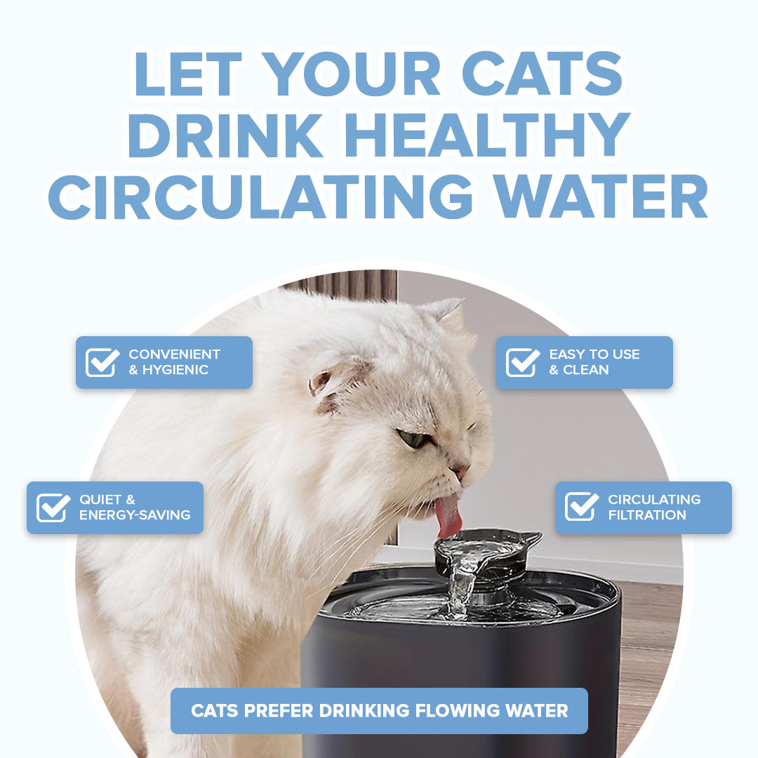 Abreuvoir pour chat avec filtre Waterflow™