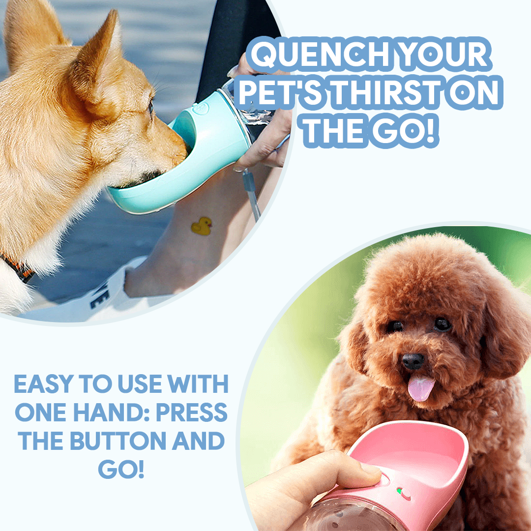 Bouteille d'eau portable pour chien
