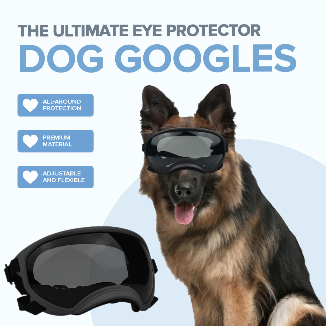 Lunettes de protection pour chiens