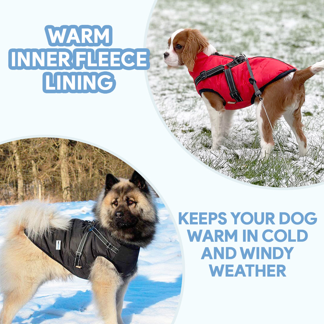 Manteau d'hiver imperméable en polaire pour chien