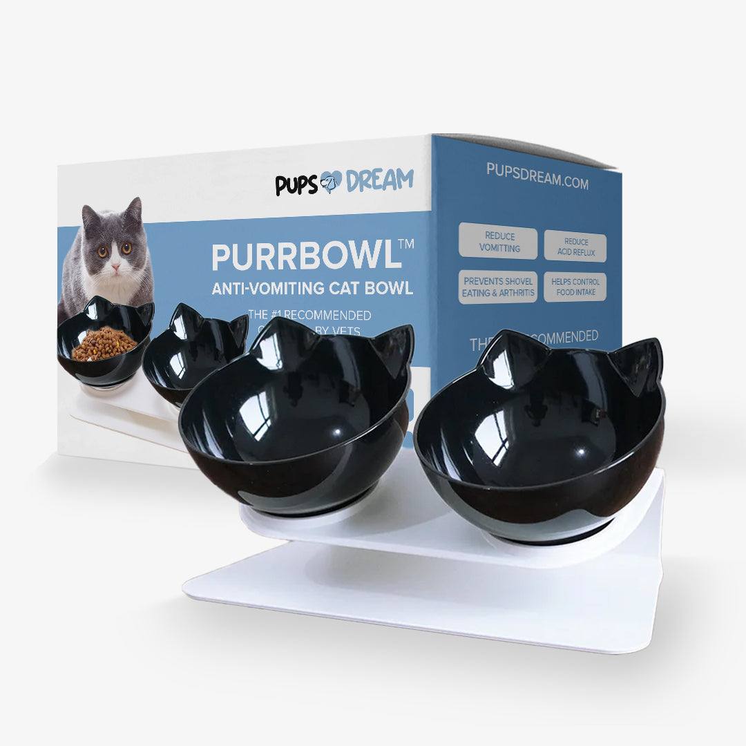 PurrBowl™ - Bol orthopédique anti-vomissement