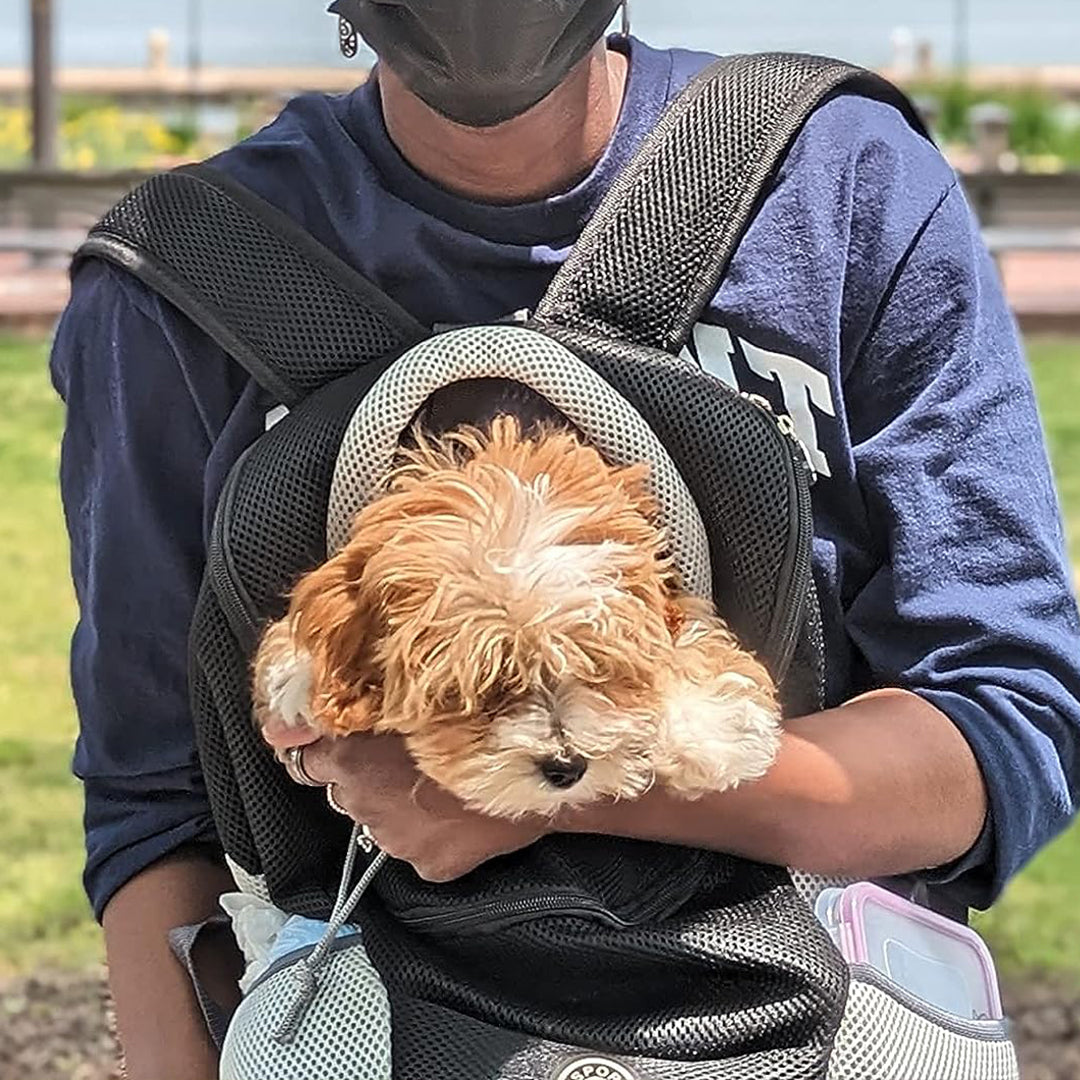 Sac à dos pour chien