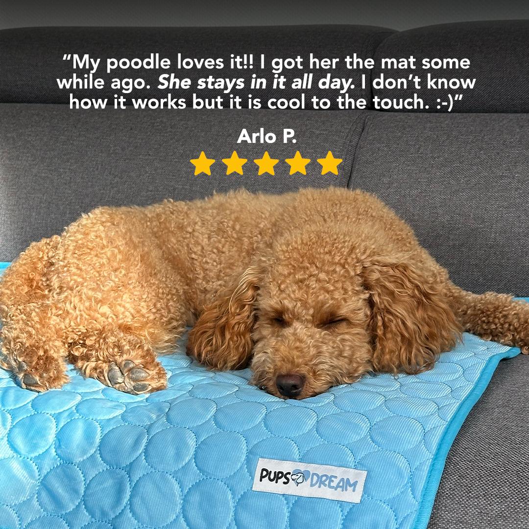 PetCool V.3 - Tapis de refroidissement pour animaux de compagnie