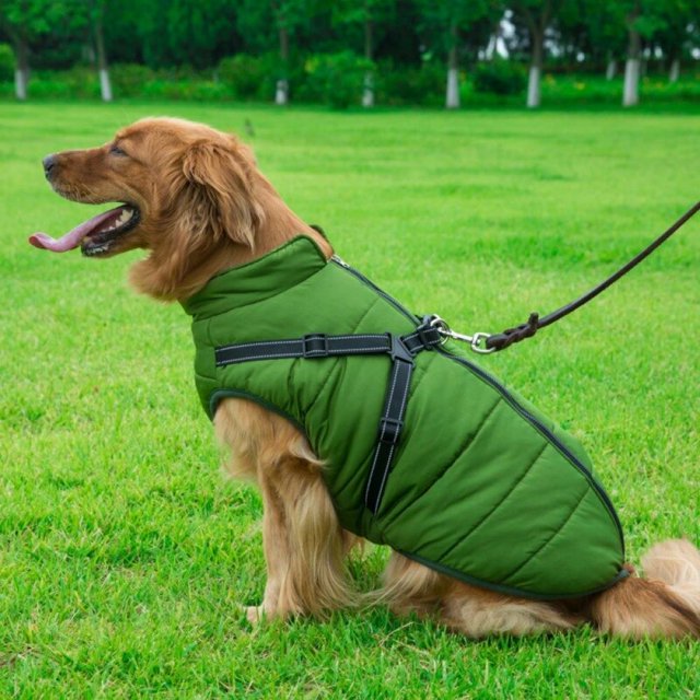 Manteau d'hiver imperméable en polaire pour chien