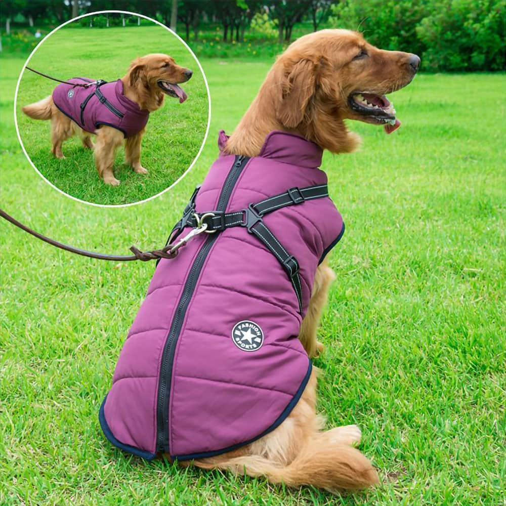 Manteau d'hiver imperméable en polaire pour chien