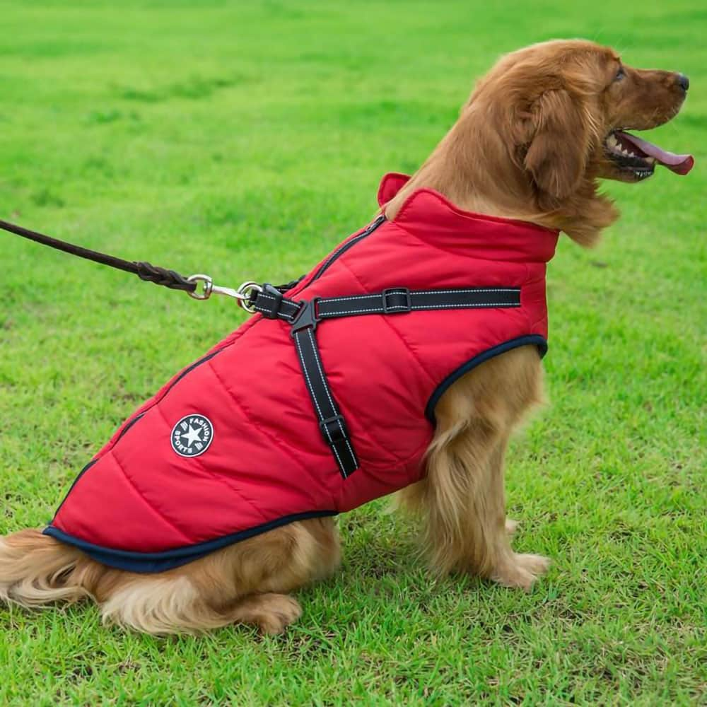 Manteau d'hiver imperméable en polaire pour chien