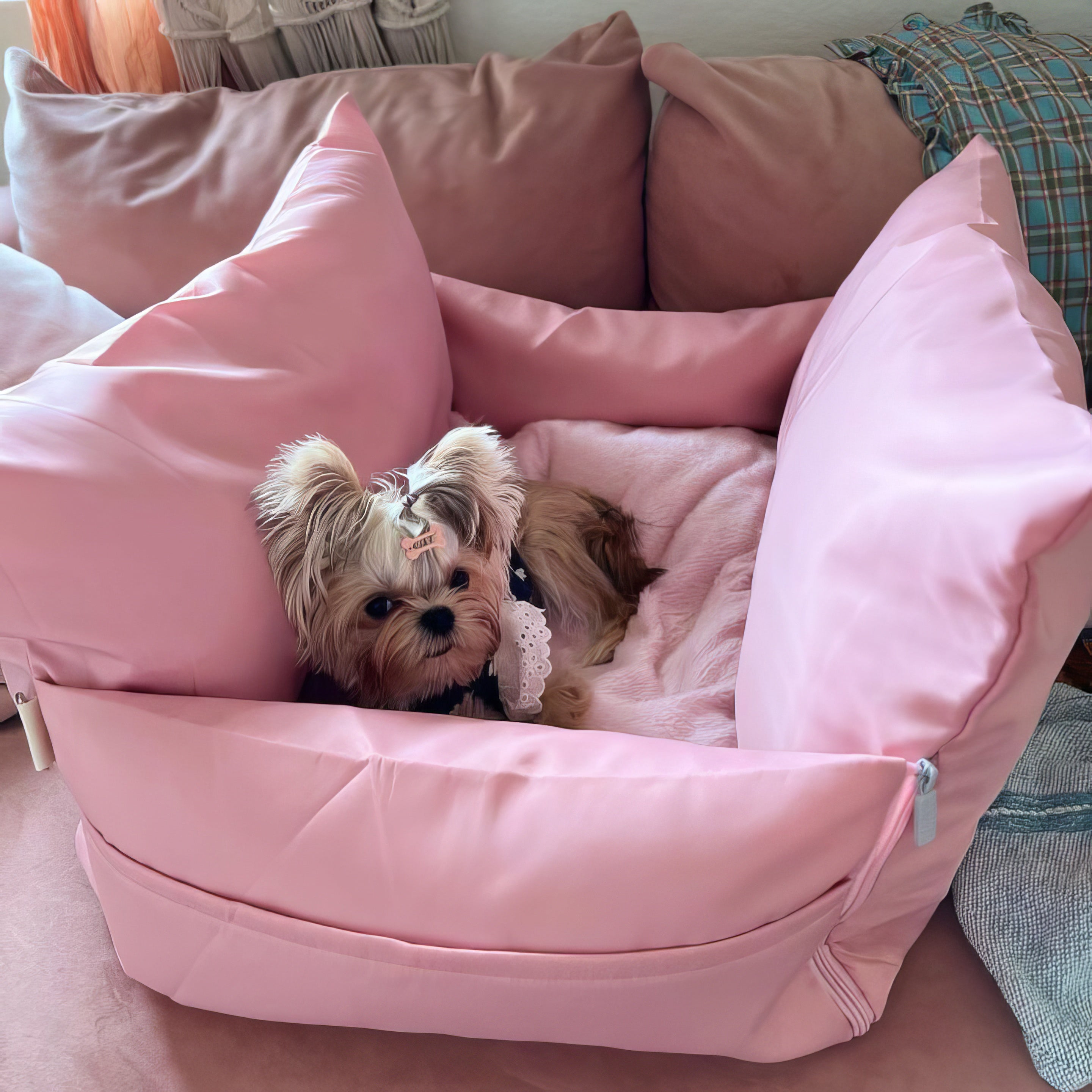 Siège de voiture pour chien étanche