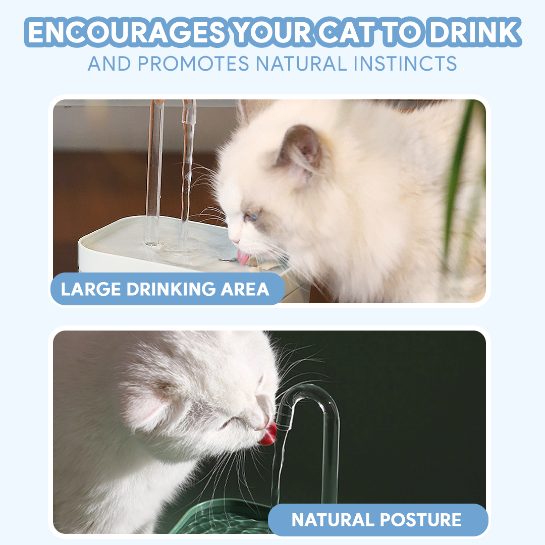 Fontaine pour chat avec filtre Waterflow™